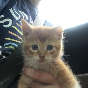 Meet your Posher, Mary